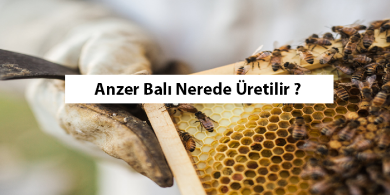 Anzer Balı Nerde Üretilir?