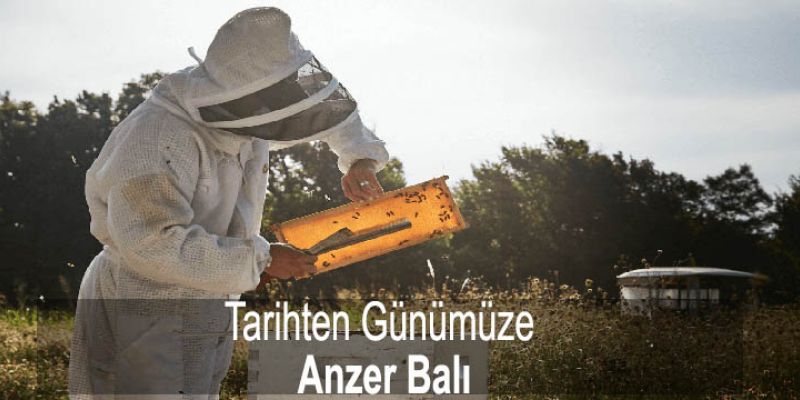 Tarihten Günümüze Anzer Balı