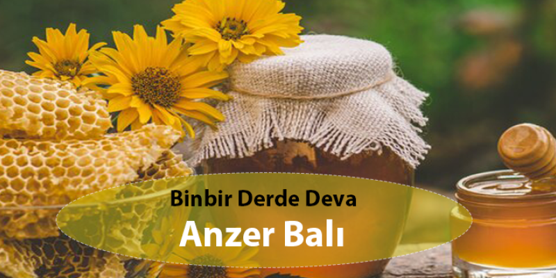 Binbir Derde Deva Anzer Balı
