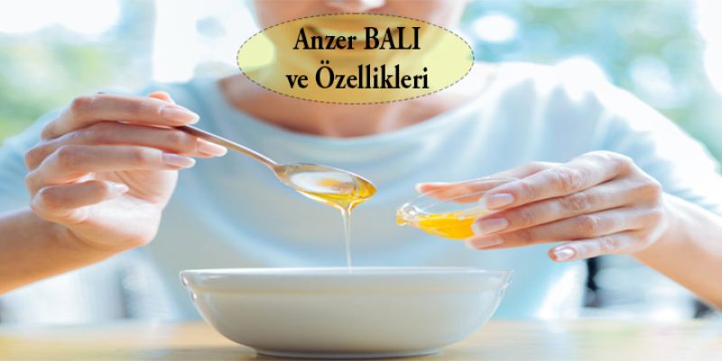 Anzer Balı ve Özellikleri