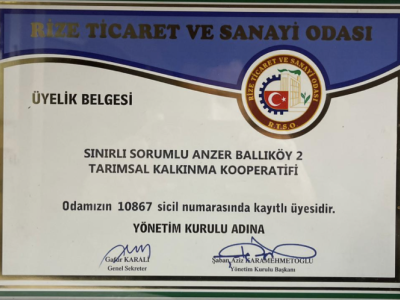 Belgelerimiz