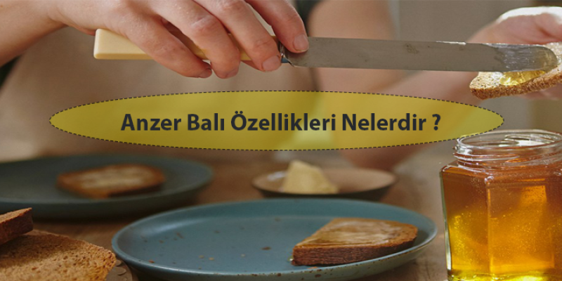 Anzer Balı Özellikleri Nelerdir?