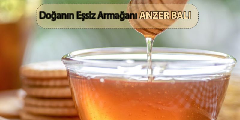 Doğanın Eşsiz Armağanı: Anzer Balı