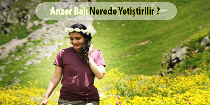 Anzer Balı Nerede Yetişir?
