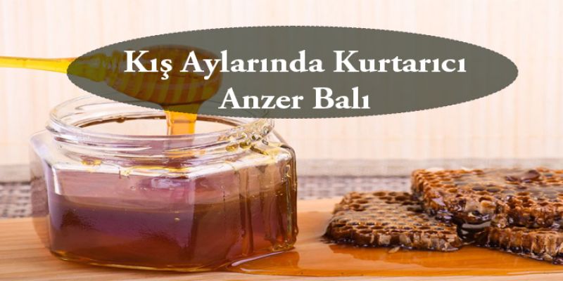 Kış Aylarında Kurtarıcı Anzer Balı