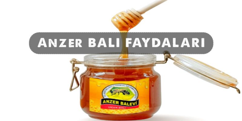 Anzer Balı Faydaları ve Özellikleri