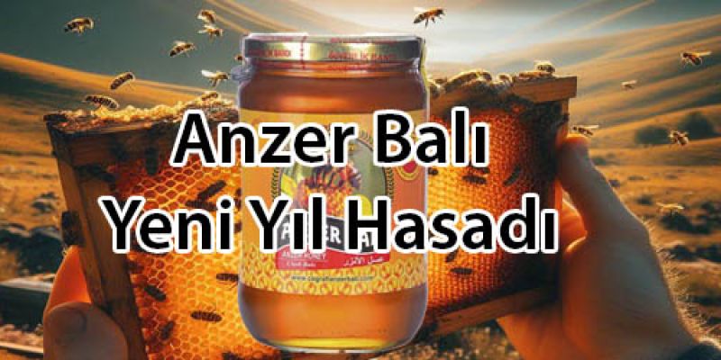 Anzer Balı 2023 Hasadı Ne Zaman Yapılacak?