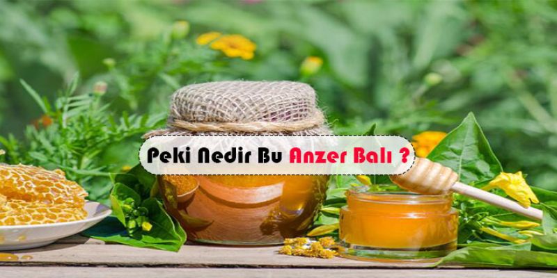 Peki Bu Anzer Balı Nedir?