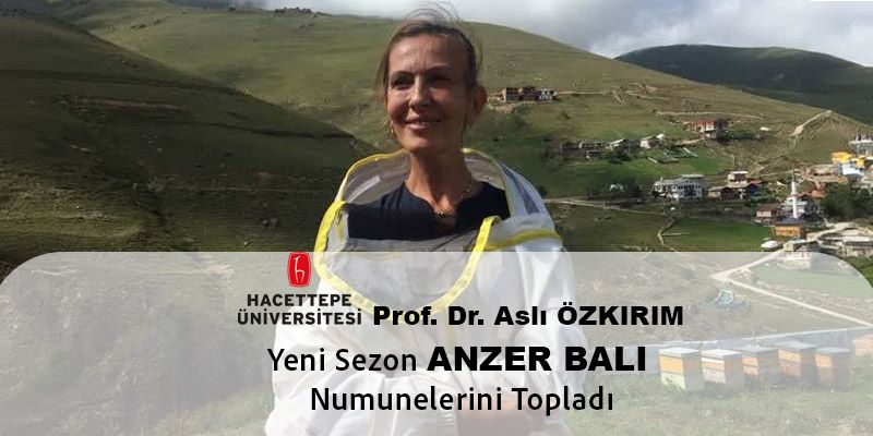 Prof. Dr. Aslı Özkırım Anzer Balı Numunelerini Topladı