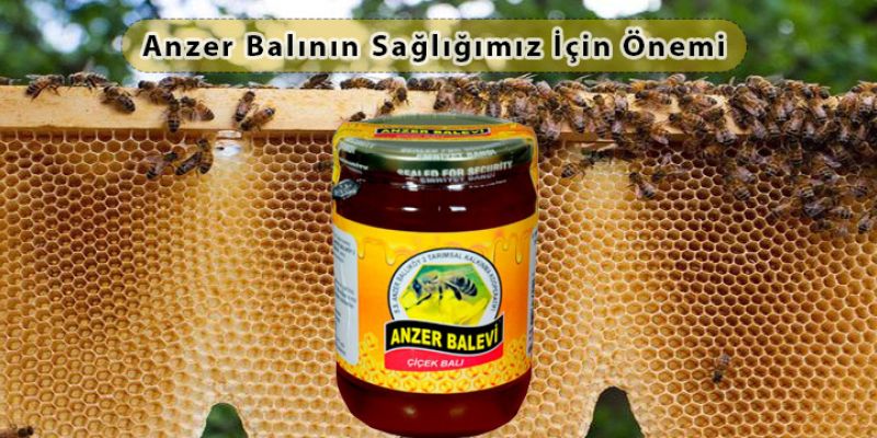 Anzer Balının Sağlığımız İçin Önemi