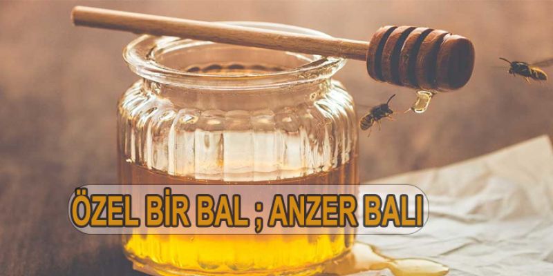 Özel Bir Bal; Anzer Balı