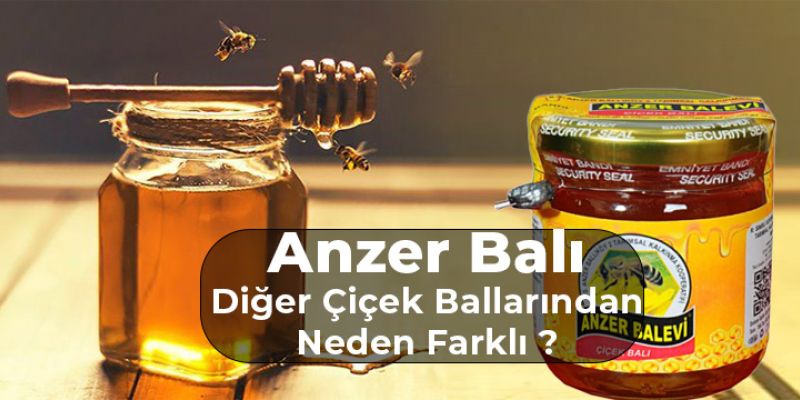 Anzer Balı ve Çiçek Balı Arasındaki Fark