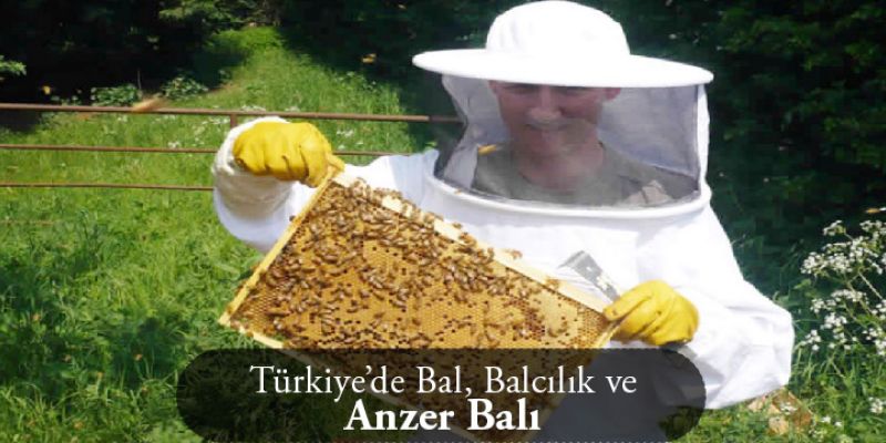 Türkiye’de Bal, Balcılık ve Anzer Balı