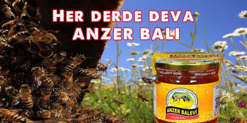 Her Derde Deva Anzer Balı